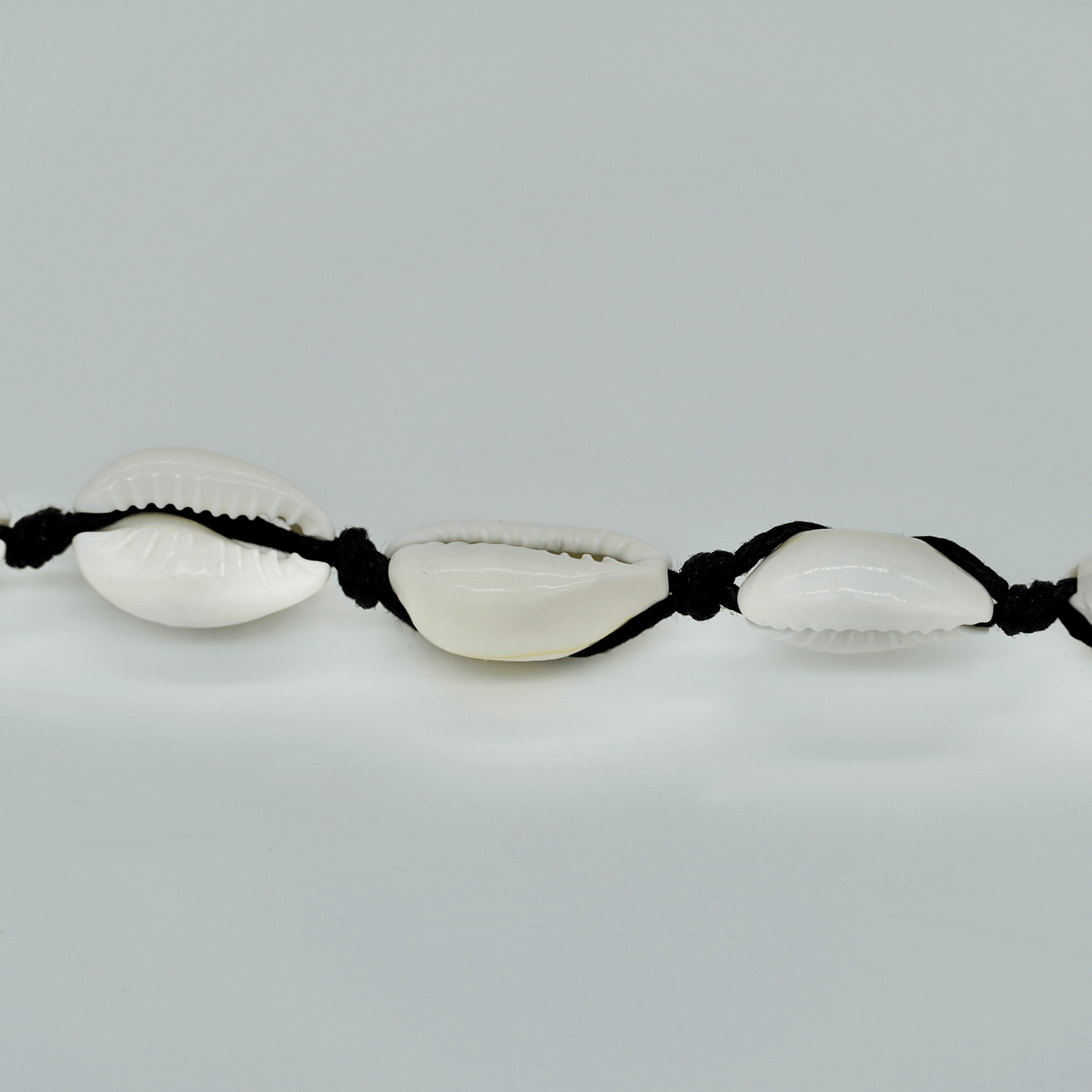 White Shell All Around Necklace